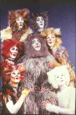 Asia Tour 2022-2023, 'Cats' Musical Wiki