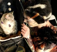 PJ DiGaetano with Nala Cat
