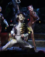 Carb O'Muiri Cass Shaw Bows UK19.jpg (911 KB) Cassandra (cover)