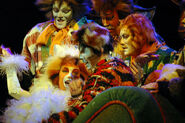 Growltiger, Moscow 2005