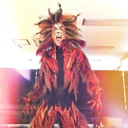 Macavity (cover), Asia Tour 2017