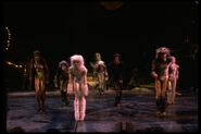 Jellicle ball vicotria 1982