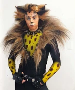 Rum Tum Tugger (cover)