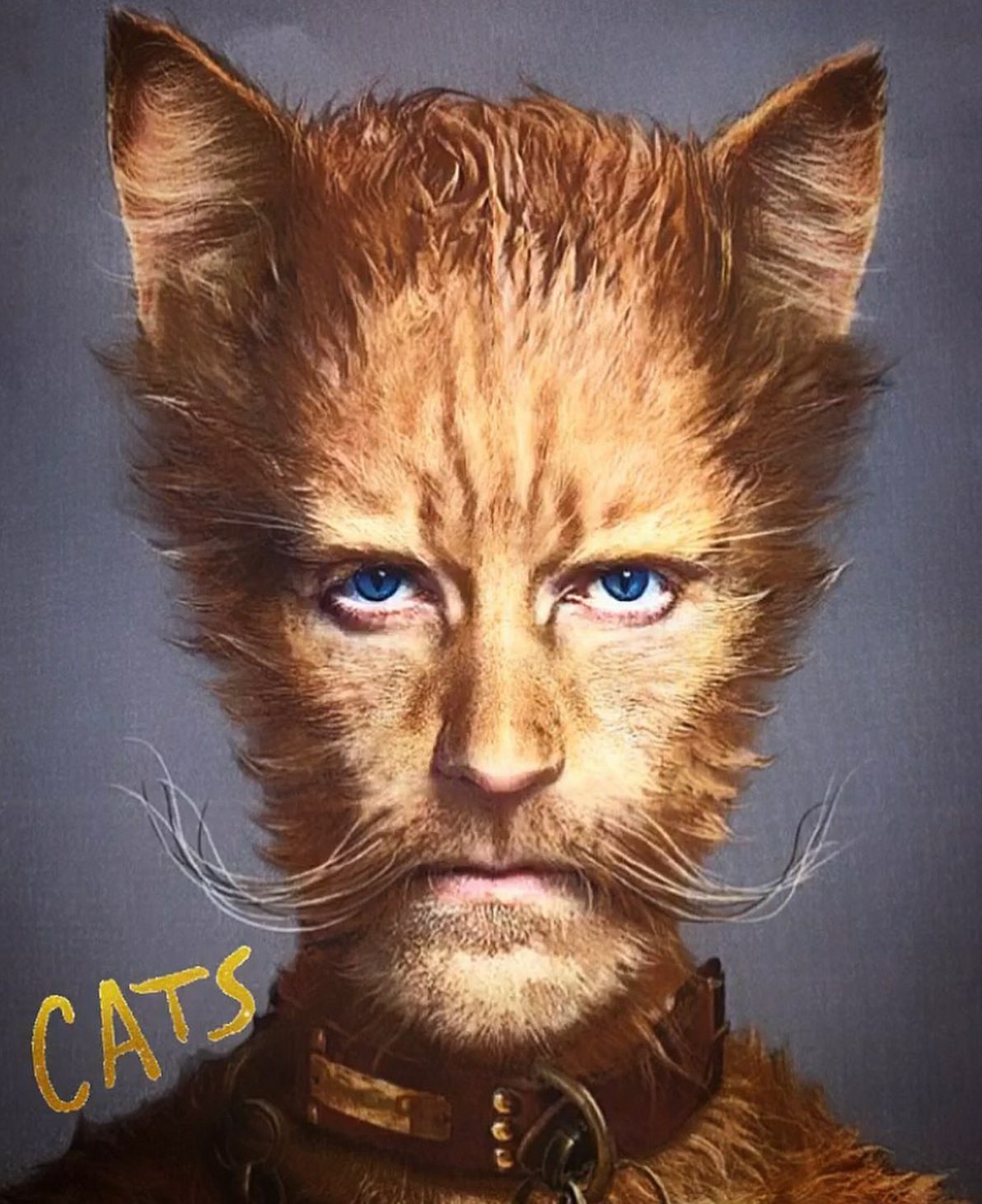 Who's in the cast for the 2019 Cats movie?