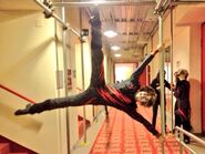 Acrobatic Bill Bailey, UK Tour 2013