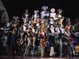 Jellicle Songs for Jellicle Cats