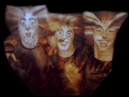 Plato Alonzo Cori - Stefano B Mirko B Giulio S - Hamburg.jpg (187 KB) Stefano Bontempi, circa 1997