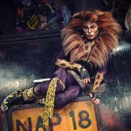 Rum Tum Tugger, RCCL Cast 3