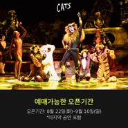 Tugger Girls Asia 17 3a.png (768 KB)