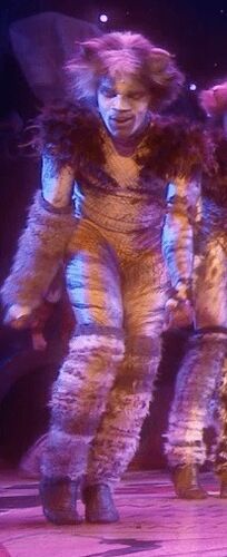 Broadway 2016 Gallery Cats Musical Wiki Fandom