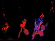 Siamese Vienna 83.jpg (112 KB)