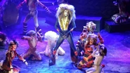 Rum Tum Tugger