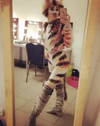 Rumpleteazer, UK Tour 2016