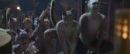 Cass Electra chorus cats applaud Gus movie 2019
