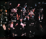 Beetles 1 US2.png (485 KB)