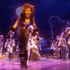 Broadway 2016 Cats Musical Wiki Fandom