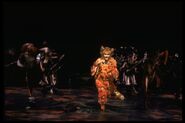 Jennyanydots anne gumbie tap broadway 1982 01