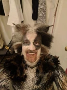 Pouncival Evan Kasprzak broadway revival 02.jpg (92 KB)