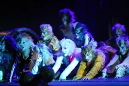 Jellicle Ball Italy09.jpg (348 KB)