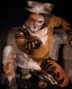 Simone Ragozzino as Mungojerrie