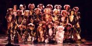 The naming of cats asia tour 2017 01