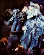 Old Deuteronomy, 1981