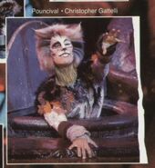 Christopher Gattelli as Pouncival