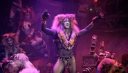 Mex 2018 Tugger Raul Coronado.jpg (61 KB) Rum Tum Tugger