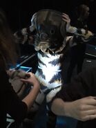 Rumpleteazer, putting on Peke cover, UK Tour 2016