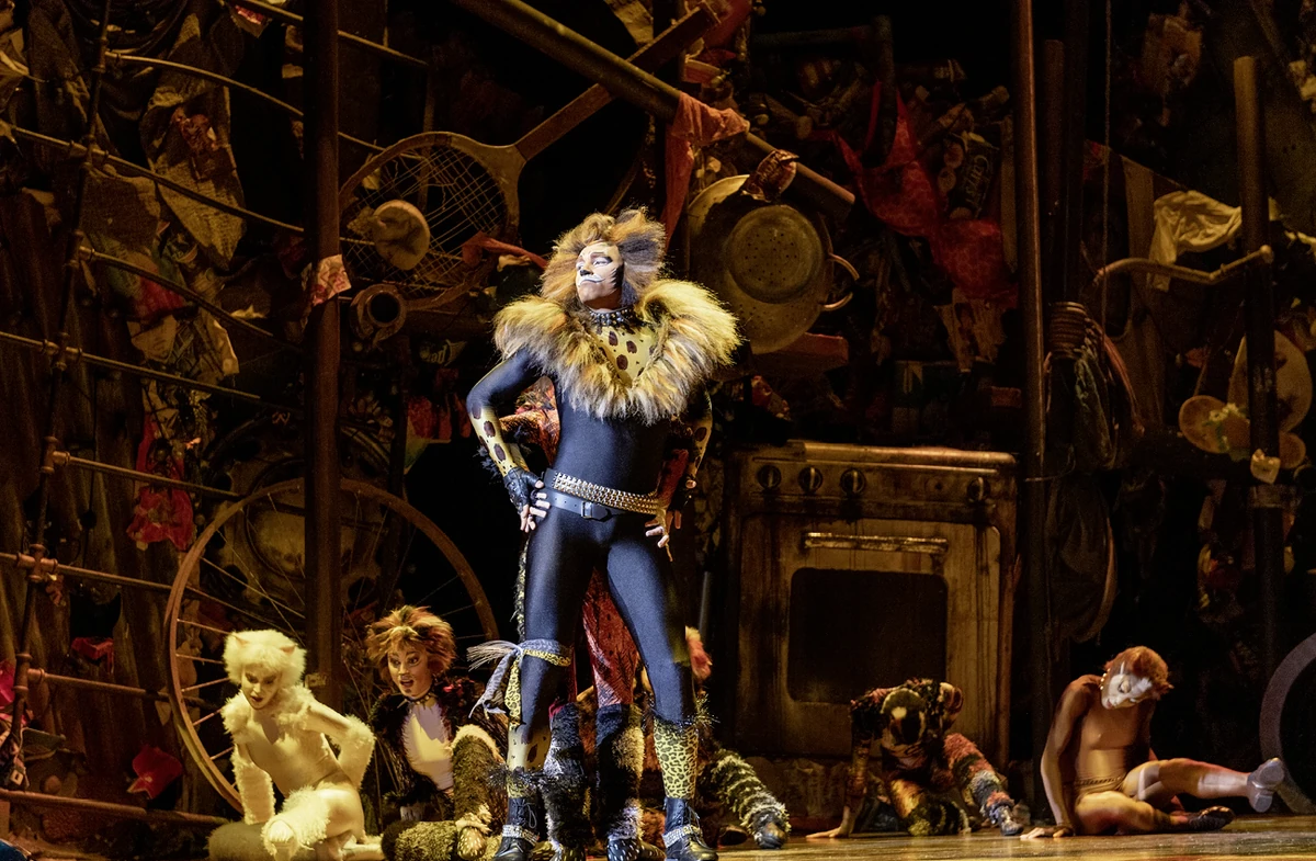 CategoryThe Rum Tum Tugger (Rock song) Lyrics 'Cats' Musical Wiki