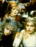 Finola Hughes as Victoria with Geraldine Gardner as Bombalurina and Elaine Paige as Grizabella in London, 1981