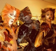 Skimble Plato Alonzo - Hardy Drew Tripp - Troika 2009.jpg (97 KB) 2009