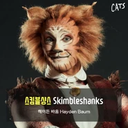 Skimbleshanks, Asia Tour 2017