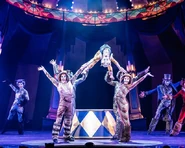 Gumbie Cat Paramount 2025.jpg (71 KB) The Old Gumbie Cat