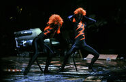 Macavity's henchcats