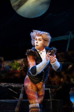 Asia Tour 2022-2023, 'Cats' Musical Wiki