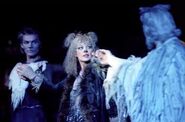 Grizabella and Old Deuteronomy