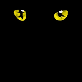 Logo eyes