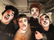 Macavity, Mungojerrie, Munkustrap, Mistoffelees