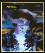 Tim van der Straeten