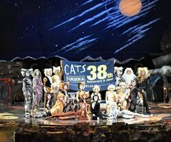 Shiki Cats - Japan | 'Cats' Musical Wiki | Fandom
