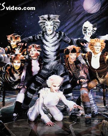 cats musical wiki fandom