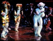 Jellylorum, London 2000