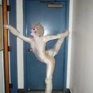 Eva Kosmowski 2007-2008, 2009-2010, 2011