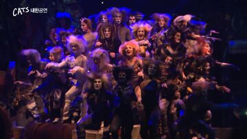 Asia Tour 2022-2023, 'Cats' Musical Wiki