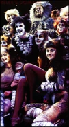 Mistoffelees, 1993