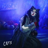 Mex 2019 Griz Yuri.jpg (126 KB) Grizabella (Yuri)