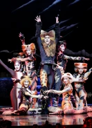 Tugger Queens Opening Night Hiroshima 11Nov2024.jpg (336 KB) Haruka Yamazaki