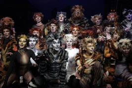 Cats Musical Santiago 2014