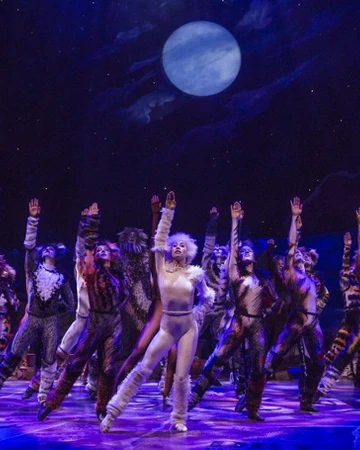 Jellicle Ball Cats Musical Wiki Fandom The old gumbie cat — musical cats(instrumental). jellicle ball cats musical wiki